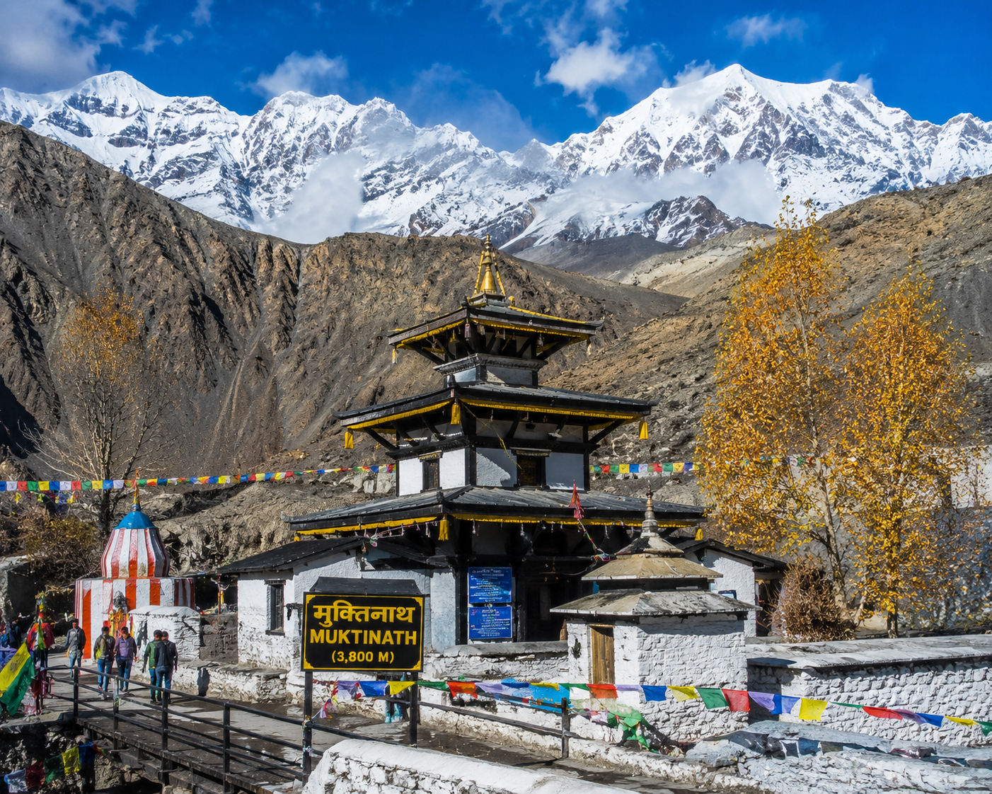 Best of Nepal with Muktinath