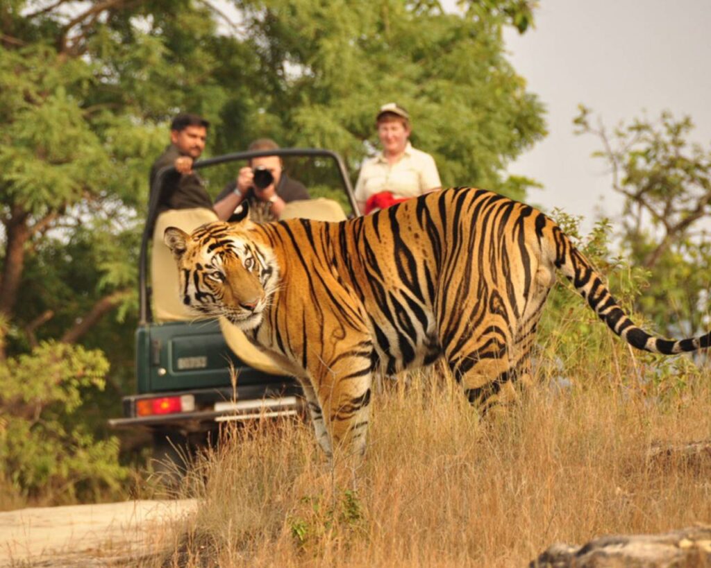 Chitwan tour